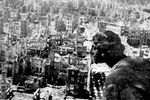 Вид на разрушенный Дрезден, 1945 год