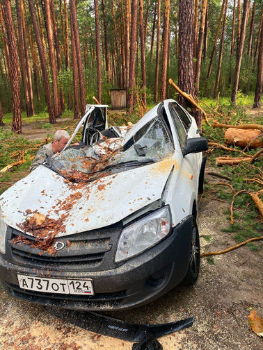 Последствия падения деревьев у озера Маслеево в Дзержинском районе Красноярского края, 5 июля 2020 года