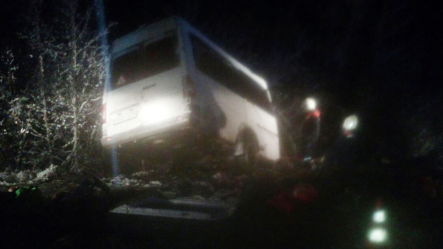 Спасатели на&nbsp;месте столкновения грузового автомобиля и пассажирского микроавтобуса в&nbsp;Килемарском районе республики Марий Эл, 16&nbsp;ноября 2017&nbsp;года