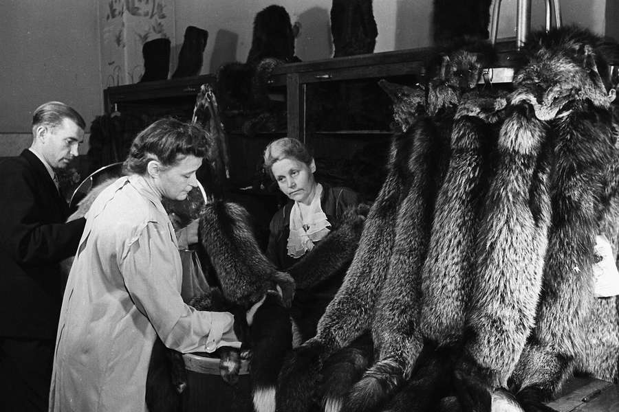 Отдел &laquo;Меха&raquo; в&nbsp;магазине ЦУМ, 1948&nbsp;год