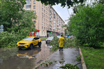 Городские службы устраняют последствия непогоды на ул. Черняховского в районе Аэропорт, 20 июня 2024 года