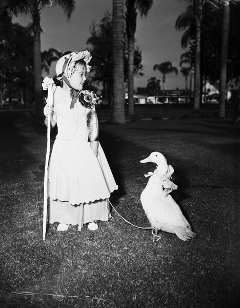Девочка с гусем на поводке на фестивале Хэллоуина в Анахайме, Калифорния, 1951 год