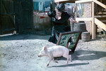 Наталья Крачковская на съемках фильма «Не может быть!» (1975).
<br><br>
В альманахе «Не может быть!» по произведениям Михаила Зощенко Крачковская исполнила сразу две роли. Первую — в новелле «Преступление и наказание», где она сыграла покупательницу картин. Изначально по сценарию упасть и порвать оба полотна должен был герой Игоря Ясуловича. Но на съемках присутствовал сын Крачковской, который играл с поросенком, предназначавшимся для другой сцены. Неожиданно животное вырвалось и бросилось под ноги актрисе. Она упала, Игорь Ясулович пытался ей помочь и в результате сам не удержался на ногах. Ситуация так понравилась Гайдаю, что решено было поставить сцену именно так.
<br>
А в новелле «Свадебное происшествие» Крачковской досталась роль гостьи на свадьбе, где она произносит только два слова.
