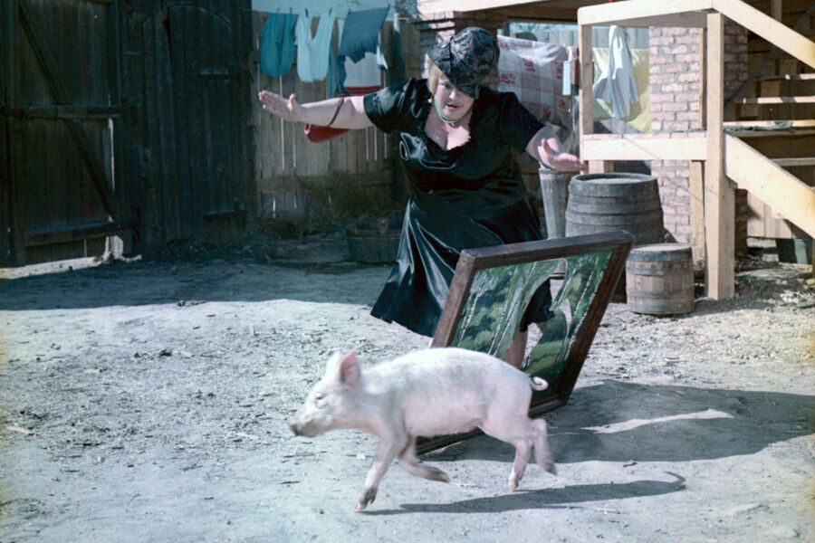 Наталья Крачковская на&nbsp;съемках фильма «Не может быть!» (1975).
<br><br>
В&nbsp;альманахе «Не может быть!» по&nbsp;произведениям Михаила Зощенко Крачковская исполнила сразу две роли. Первую &mdash; в&nbsp;новелле «Преступление и наказание», где она сыграла покупательницу картин. Изначально по&nbsp;сценарию упасть и порвать оба полотна должен был герой Игоря Ясуловича. Но на&nbsp;съемках присутствовал сын Крачковской, который играл с&nbsp;поросенком, предназначавшимся для&nbsp;другой сцены. Неожиданно животное вырвалось и бросилось под&nbsp;ноги актрисе. Она упала, Игорь Ясулович пытался ей помочь и в&nbsp;результате сам не удержался на&nbsp;ногах. Ситуация так понравилась Гайдаю, что решено было поставить сцену именно так.
<br>
А в&nbsp;новелле «Свадебное происшествие» Крачковской досталась роль гостьи на&nbsp;свадьбе, где она произносит только два слова.
