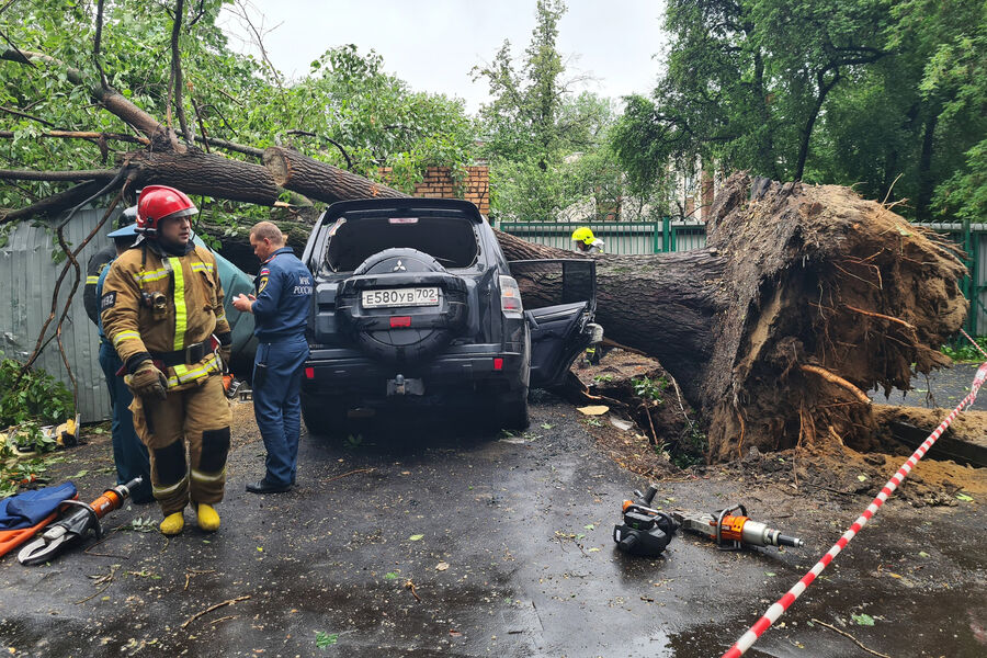 Во время урагана в&nbsp;Москве дерево упало во дворе на&nbsp;внедорожник Mitsubishi, в&nbsp;котором находился водитель, 20&nbsp;июня 2024&nbsp;года