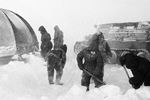 Исследователи Антарктиды строят временную станцию, 1957 год
