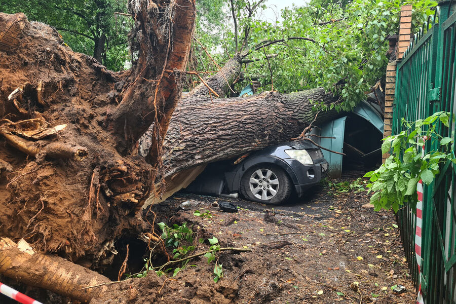 Во время урагана в&nbsp;Москве дерево упало во дворе на&nbsp;внедорожник Mitsubishi, в&nbsp;котором находился водитель, 20&nbsp;июня 2024&nbsp;года