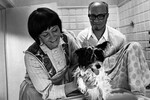 Лариса Лужина и Леонид Куравлев в кадре из кинофильма «Кыш и Двапортфеля», 1975 год