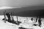 Поисковая операция. Вид от места, где стояла палатка группы Дятлова.
