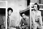 Том Уэйтс, Джон Лури и Роберто Бениньи в фильме «Вне закона» (1986)