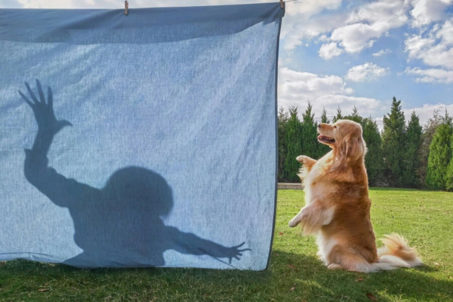 &laquo;Счастливый март&raquo;