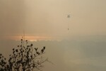 Тушение лесных пожаров в турецком городе Коджаэли, 26 июля 2025 года