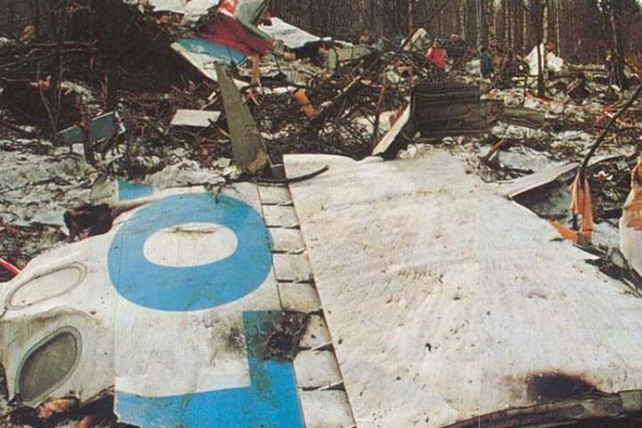 На&nbsp;месте крушения лайнера Airbus A310 под&nbsp;Междуреченском, 23&nbsp;марта 1994&nbsp;года 