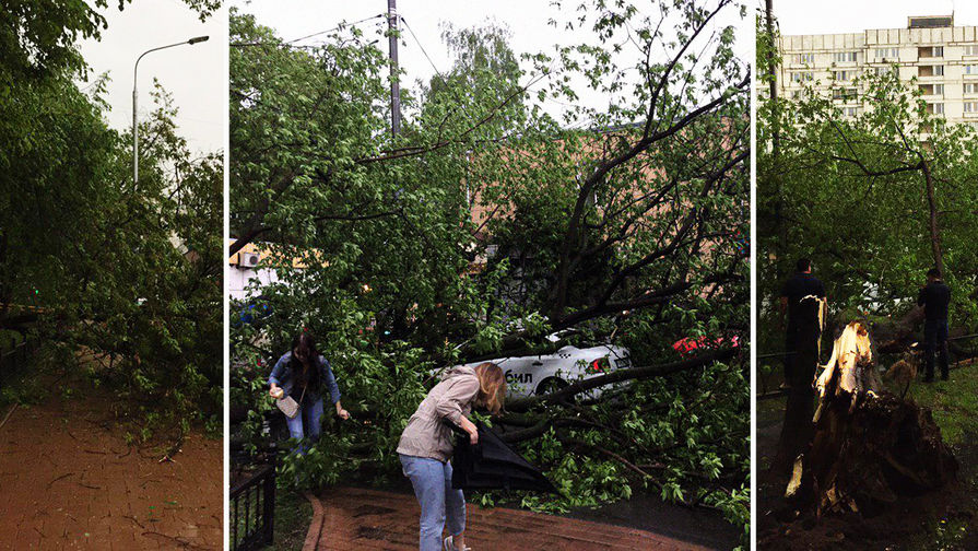 Последствия грозы в&nbsp;Москве, 9 мая 2019 года, коллаж