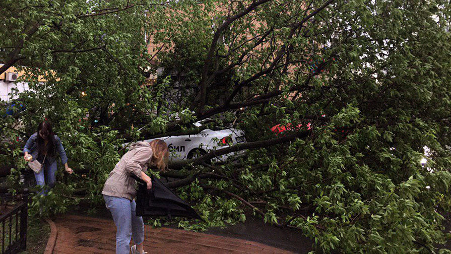 Последствия грозы в&nbsp;Москве, 9 мая 2019 года