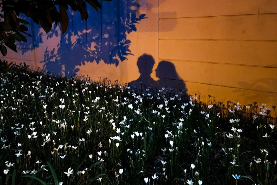 &laquo;Силуэты в&nbsp;цвету&raquo;