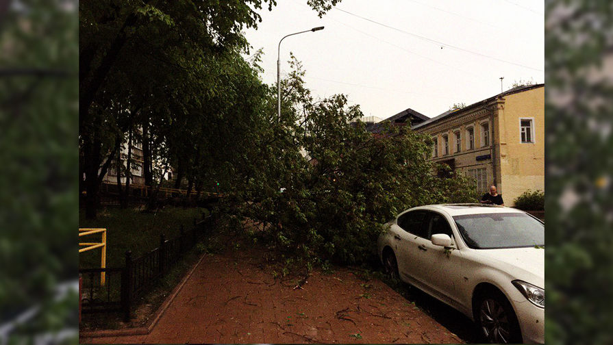 Последствия грозы в&nbsp;Москве, 9 мая 2019 года