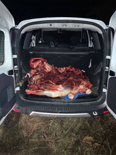 Туша лося в&nbsp;багажнике автомобиля, в&nbsp;котором находился депутат Валерий Рашкин, 29&nbsp;октября 2021&nbsp;года