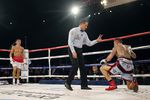 Два первых нокдауна Мюррея стали результатом ударов Головкина по корпусу