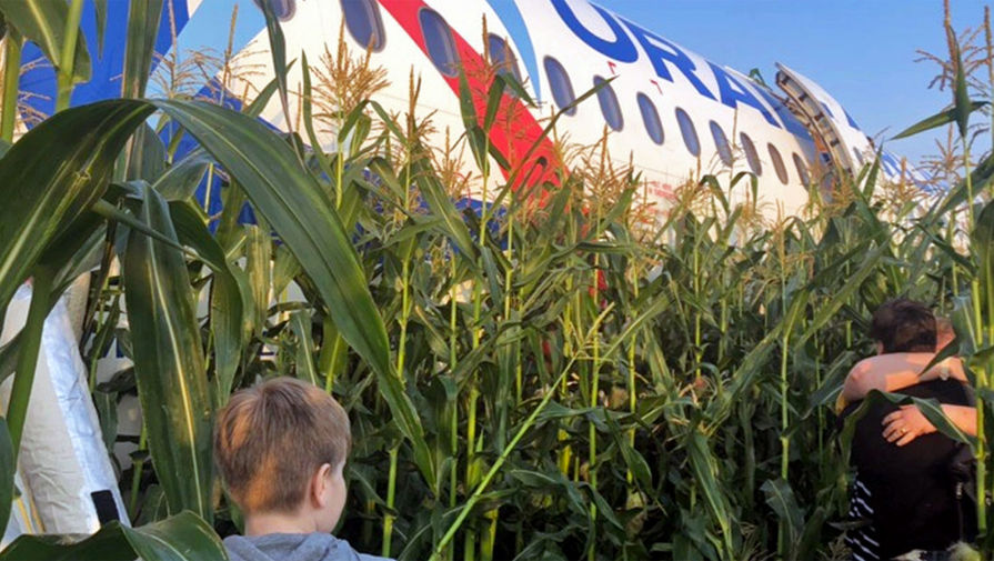 На&nbsp;месте аварийной посадки самолета A321 «Уральских авиалиний» в&nbsp;Подмосковье, 15 августа 2019 года