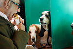 Мужчина и его бассет-хаунды на&nbsp;собачьей выставке в&nbsp;Бирмингеме, 9&nbsp;марта 2017&nbsp;года