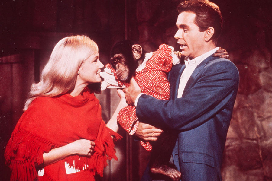 Кадр из&nbsp;фильма «Мартышки, убирайтесь вон!» (1967)