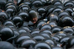 Сотрудники полиции во время акции протеста в Киеве
