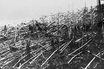 В районе падения Тунгусского метеорита, 1927 год
