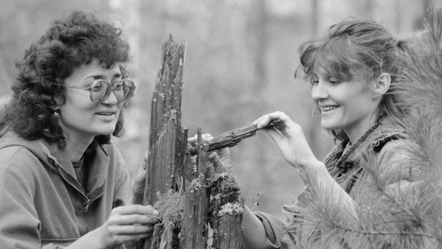 Участницы экспедиции исследуют деревья, сохранившиеся со времени взрыва, 1989 год
