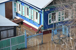 Собака у затопленного жилого дома в микрорайоне Ситцовка в Оренбурге, 10 апреля 2024 года