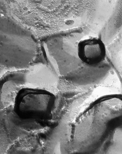 Алмазно-графитовые сростки с&nbsp;места падения Тунгусского метеорита под&nbsp;микроскопом, 1980 год