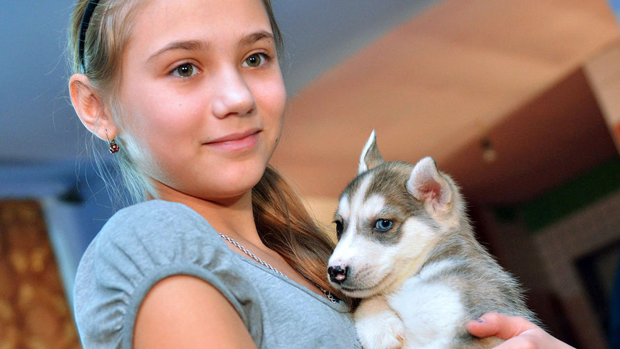 12-летняя Ольга Марущенко из&nbsp;села Белый Яр написала письмо президенту о&nbsp;том, что хочет получить на&nbsp;Новый год голубоглазого щенка