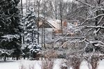 Преображенный ресторан «Лебедь»