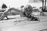 Оззи Осборн позирует во дворе своего дома в Беверли-Хиллз, 1982 год