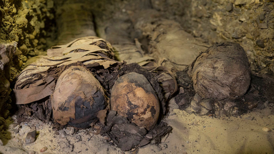 В&nbsp;Египте обнаружили гробницу с&nbsp;примерно 40 мумиями, 2 февраля 2019 года