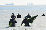 Дайверы во время погружения новогодней елки в&nbsp;бухте Щитовая