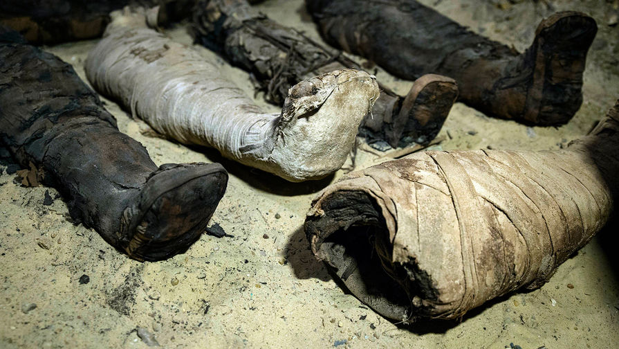 В&nbsp;Египте обнаружили гробницу с&nbsp;примерно 40 мумиями, 2 февраля 2019 года