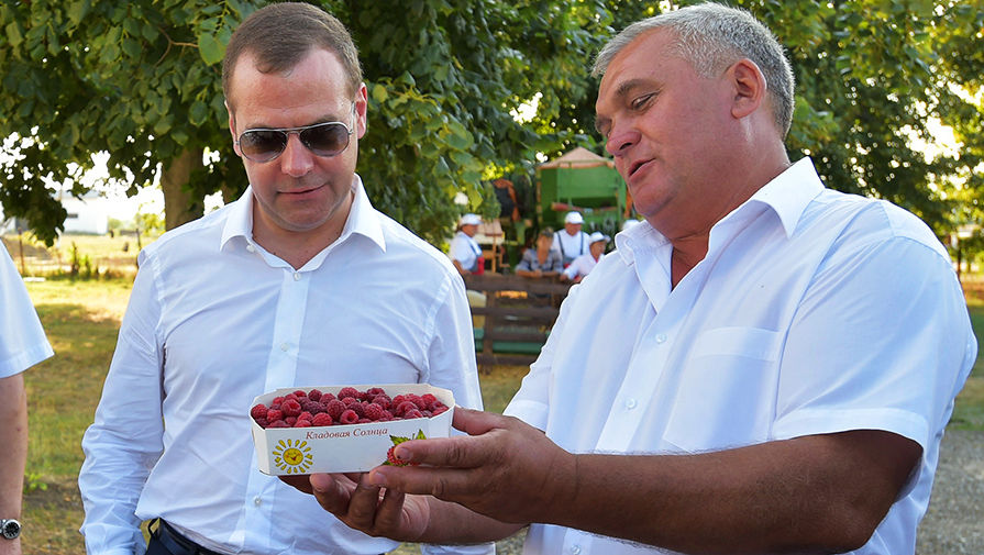 Дмитрий Медведев во время осмотра образцов готовой продукции на сельскохозяйственном предприятии в Краснодарском крае