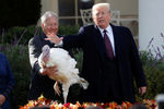 Дональд Трамп на церемонии помилования, 2018 год