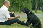 Владимир Путин с лабрадором Кони, 2003 год