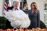 Дональд и Меланья Трамп на церемонии помилования, 2020 год