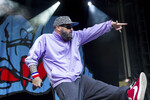 Солист группы Limp Bizkit Фред Дерст выступает в концертном зале Zitadelle Spandau в Берлине, 2 июня 2015 года