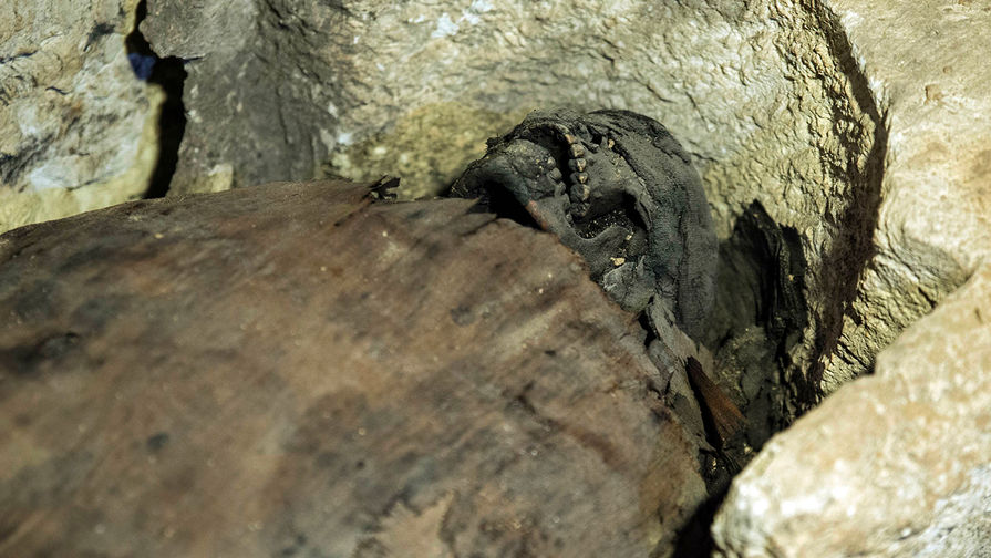 В&nbsp;Египте обнаружили гробницу с&nbsp;примерно 40 мумиями, 2 февраля 2019 года