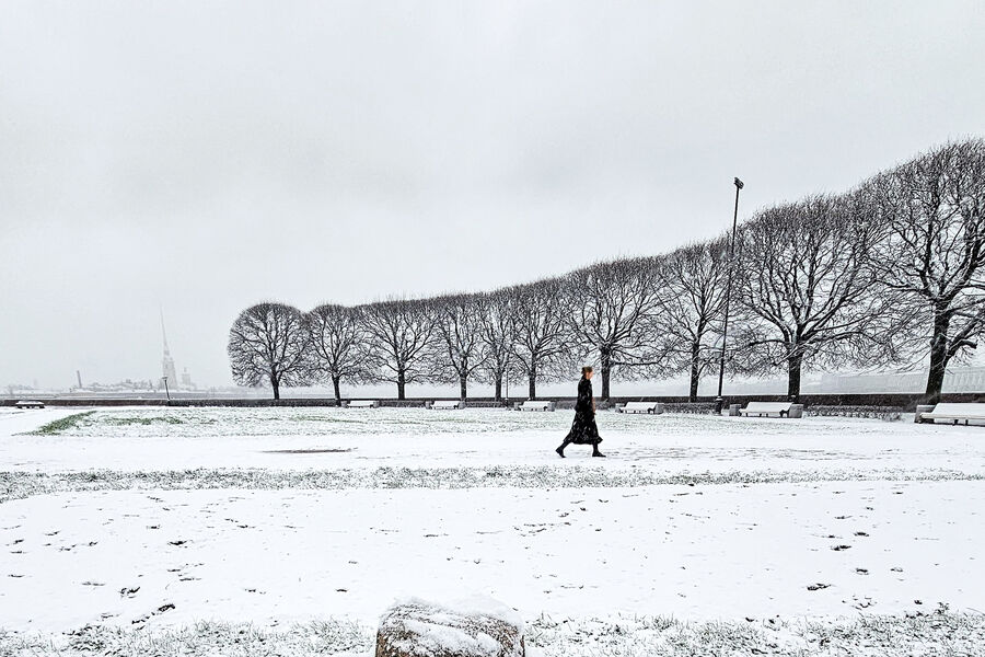 Во время снегопада в&nbsp;Санкт-Петербурге, 18&nbsp;ноября 2025&nbsp;года