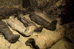 В Египте обнаружили гробницу с примерно 40 мумиями, 2 февраля 2019 года