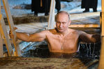 Президент России Владимир Путин в иордани во время крещенских купаний в мужском монастыре Нило-Столобенской пустыни на озере Селигер, 19 января 2018 года