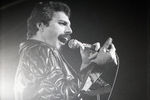 Фредди Меркьюри (1946–1991)