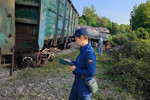 На месте обрушения моста с грузовым поездом на автодорогу в Курской области, 1 июня 2025 года