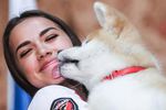 Олимпийская чемпионка по фигурному катанию Алина Загитова с щенком японской породы акита-ину по кличке Масару, подаренным премьер-министром Японии Синдзо Абэ, в гостинице «Метрополь», 2018