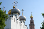 Вид на Новодевичий монастырь до пожара